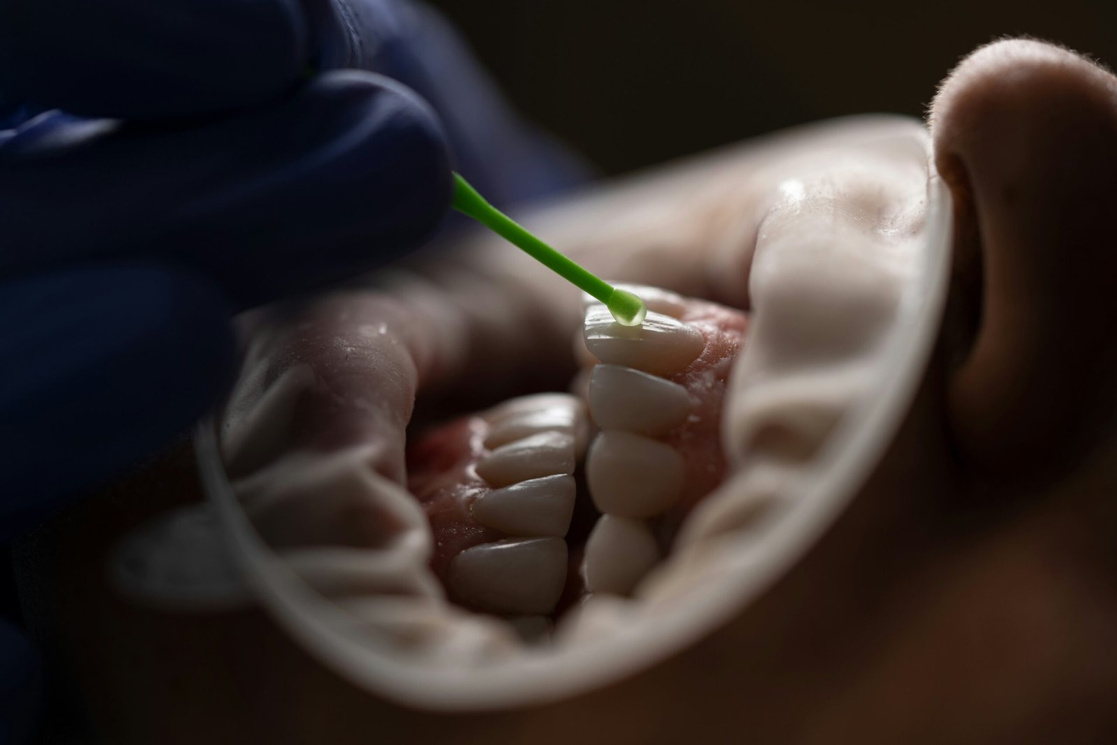 Dental professional demonstrating oral hygiene and tooth cleaning technique